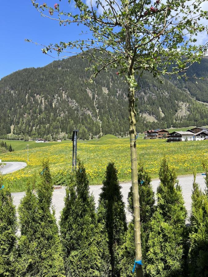 Alp Apart Niederthai Umhausen Bagian luar foto